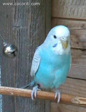 lei e siria la mia preferita dopo lolita.